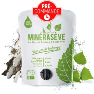 Sève de bouleau fraiche - en poche de 3L