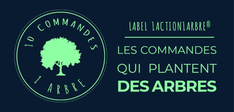 Commande sève de bouleau, 1 arbre planté